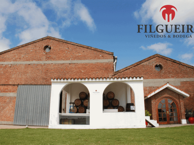 Filgueira3