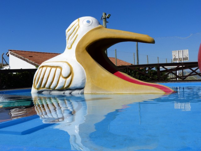 P1140080_-_copia