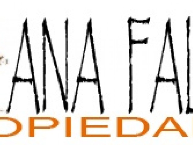 ana_falero