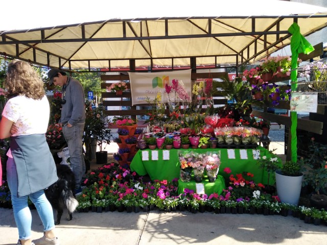 atlantida_jardin3