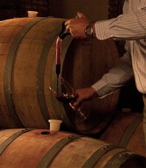 Bodega Castillo Viejo